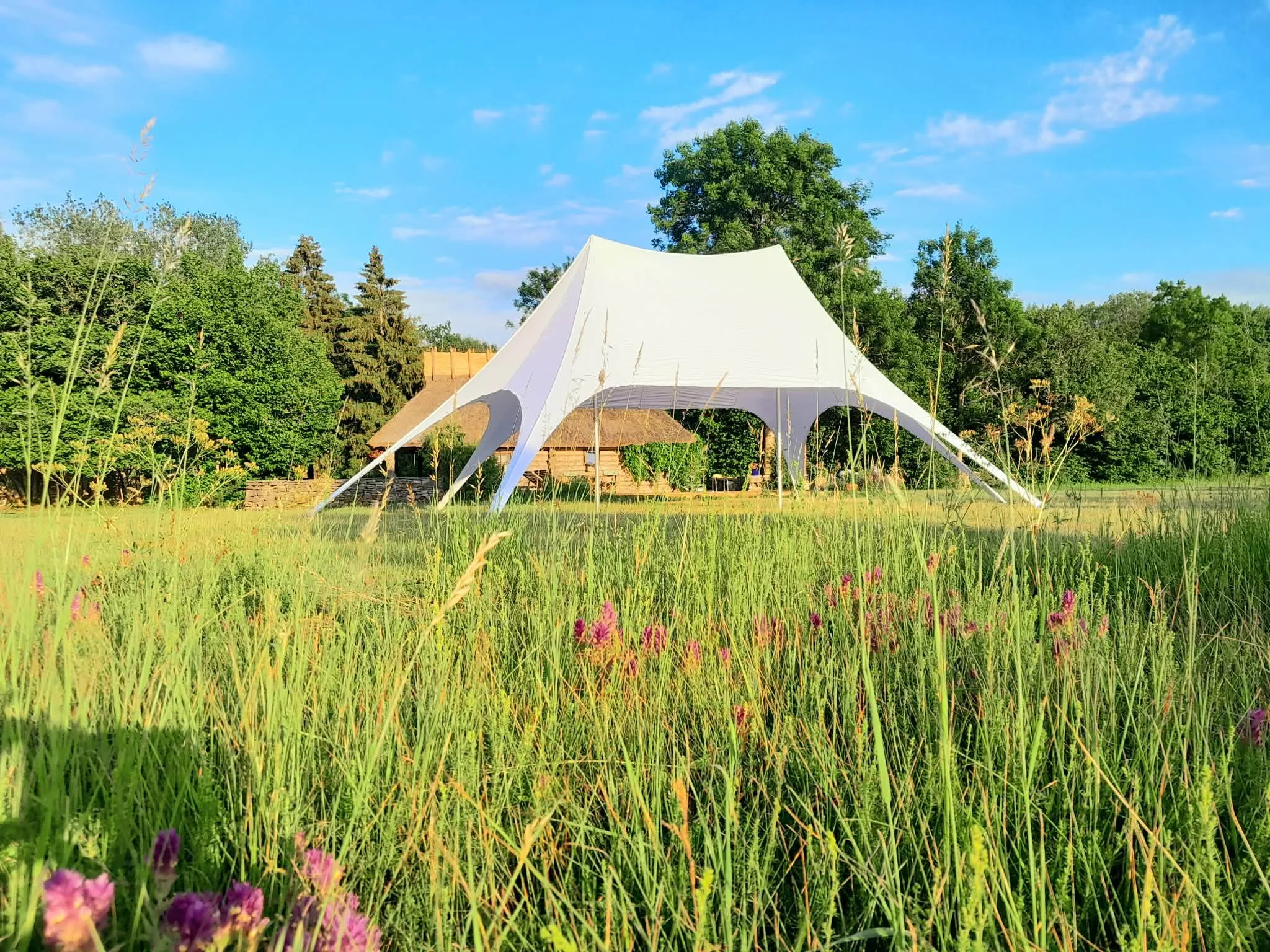 peotelk_staartelk_1.jfif