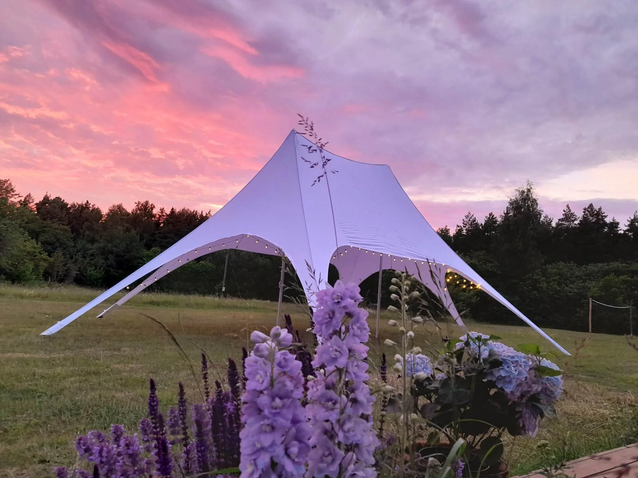 peotelk_staartelk_7.jfif