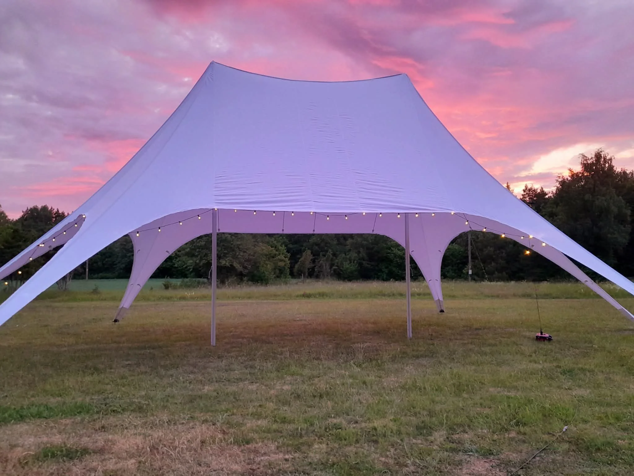 peotelk_staartelk_8.jfif