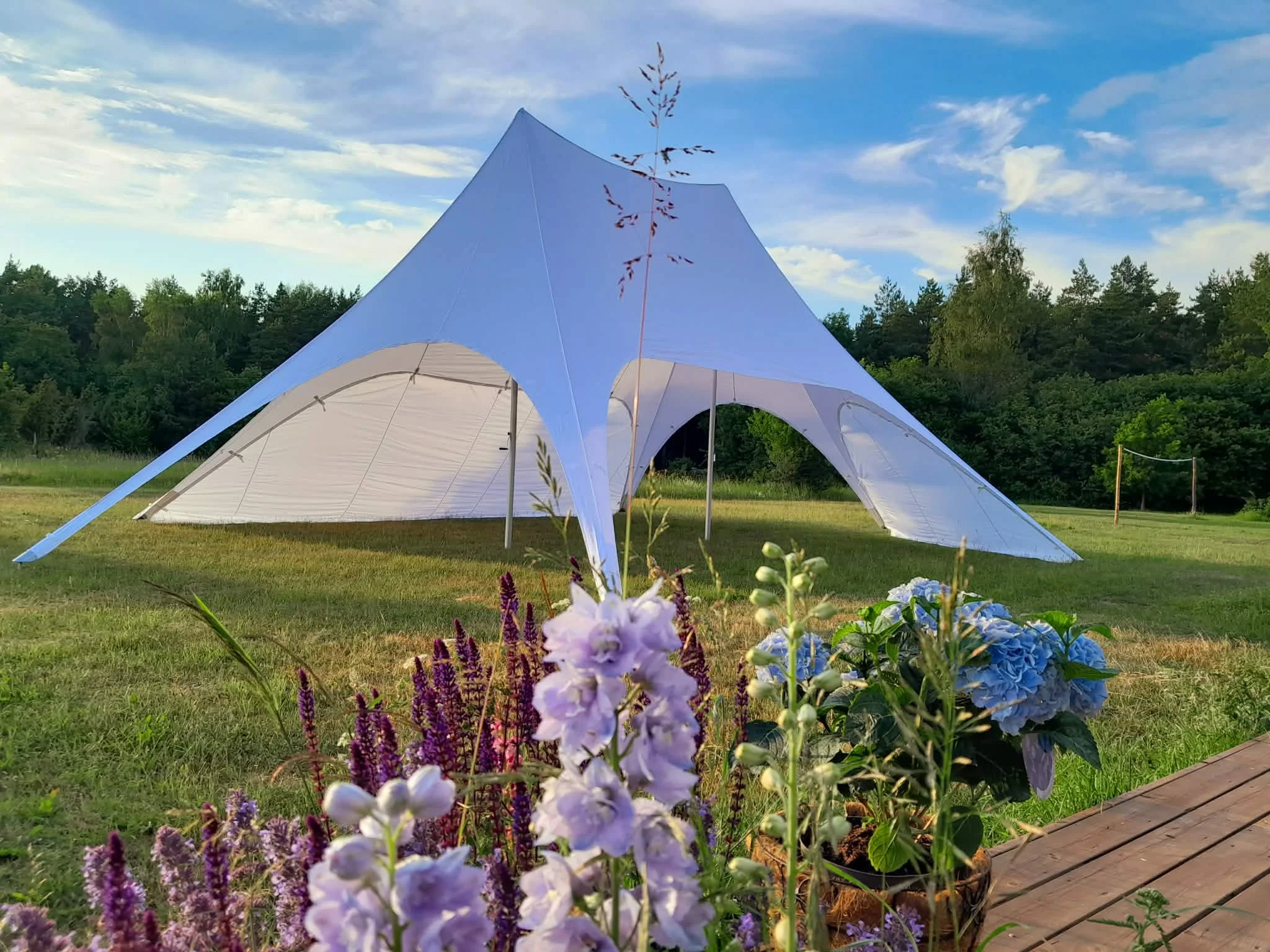 peotelk_staartelk_6.jfif