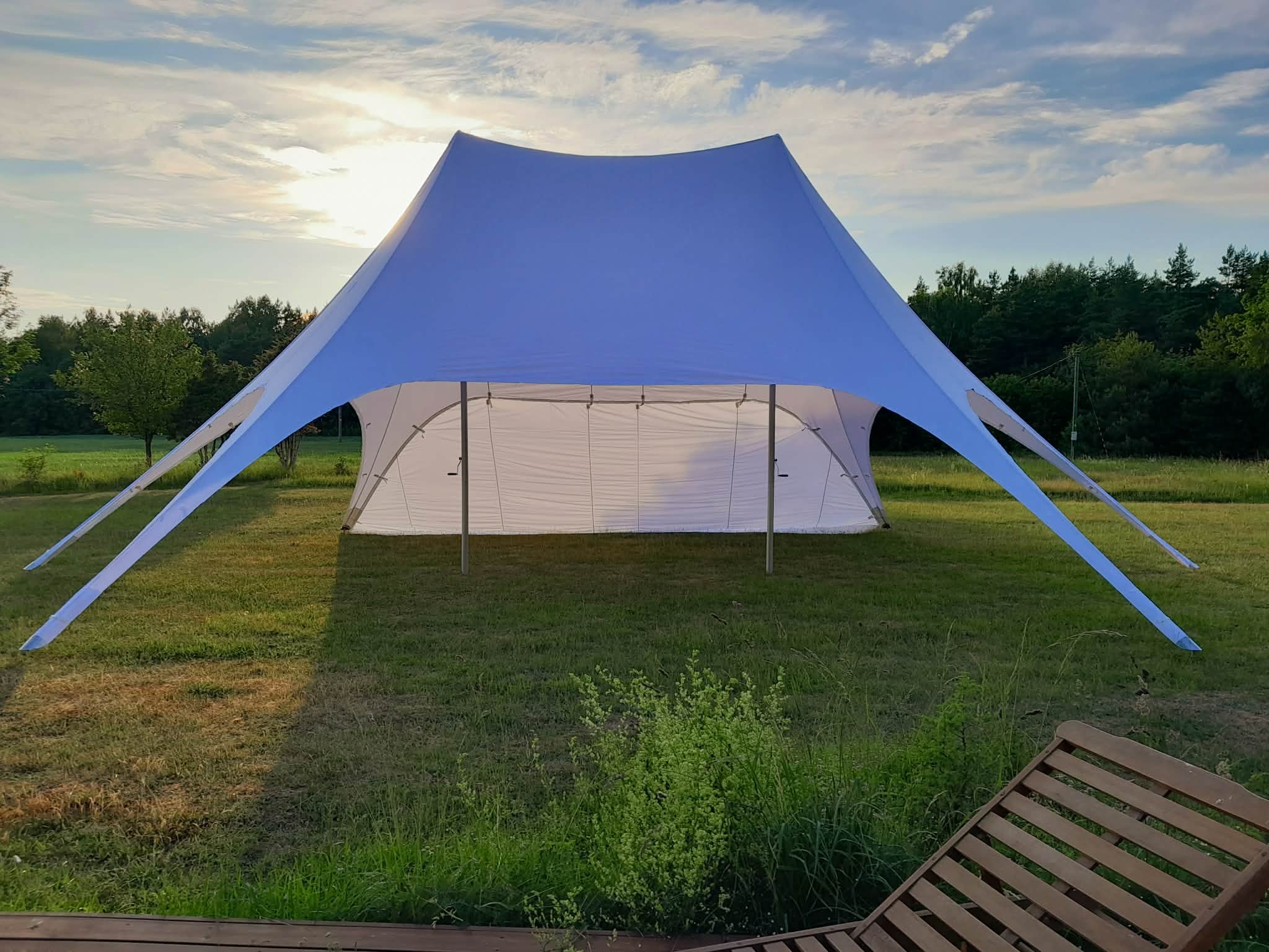 peotelk_staartelk_4.jfif