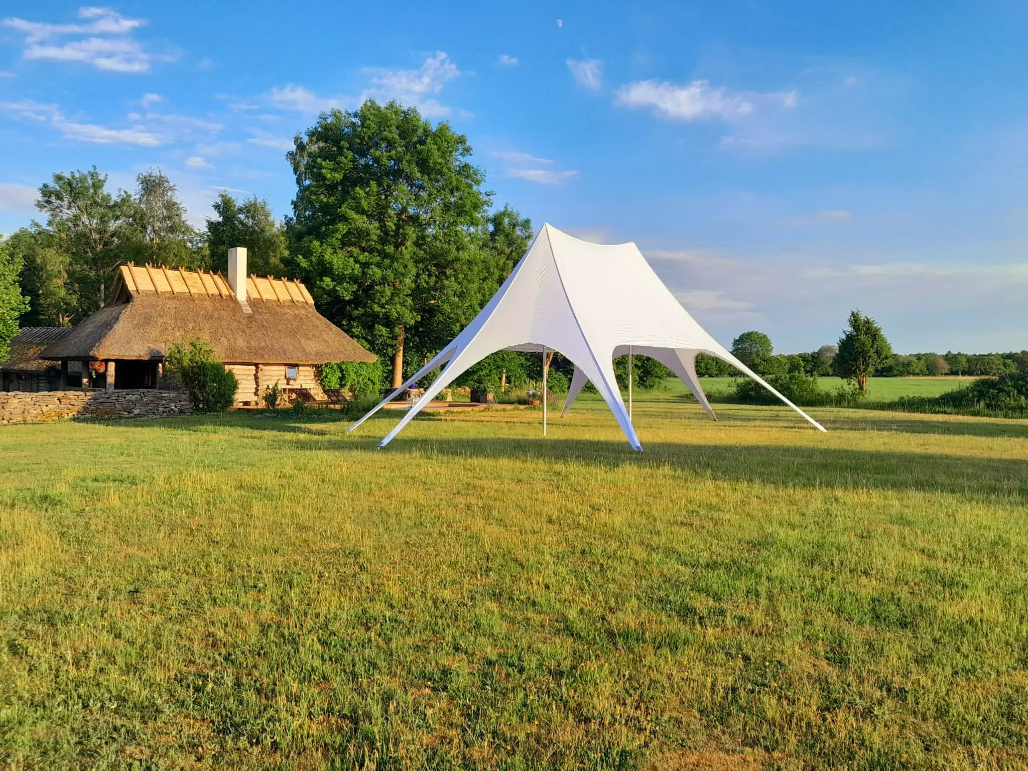 peotelk_staartelk_2.jfif