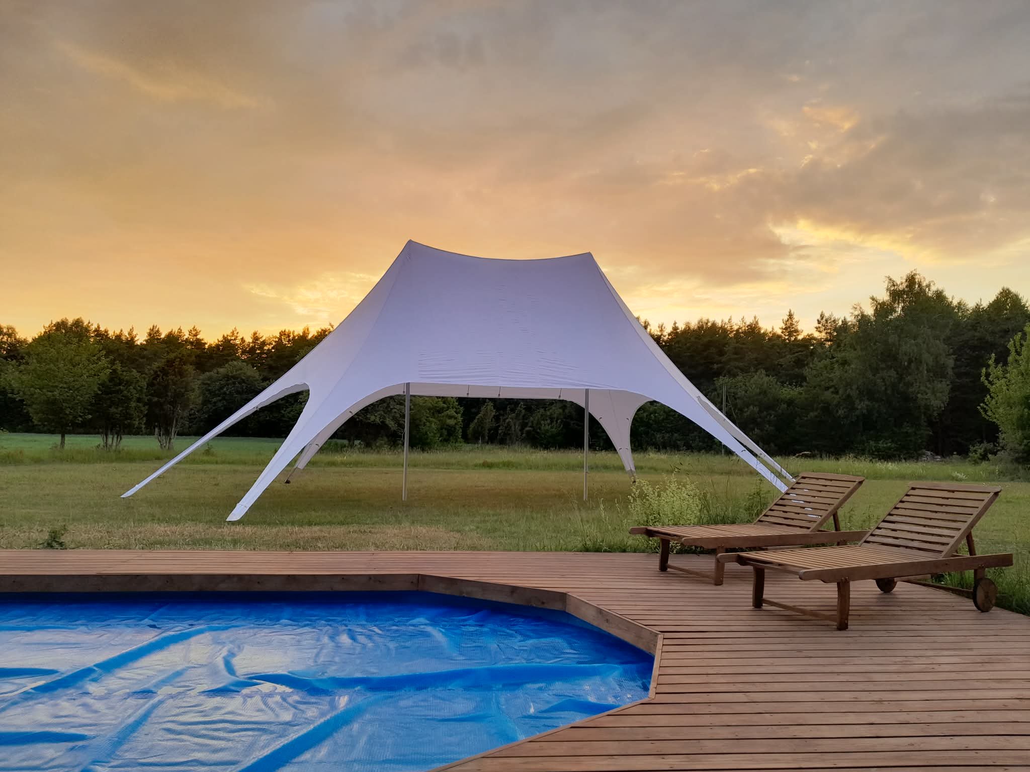 peotelk_staartelk_5.jfif