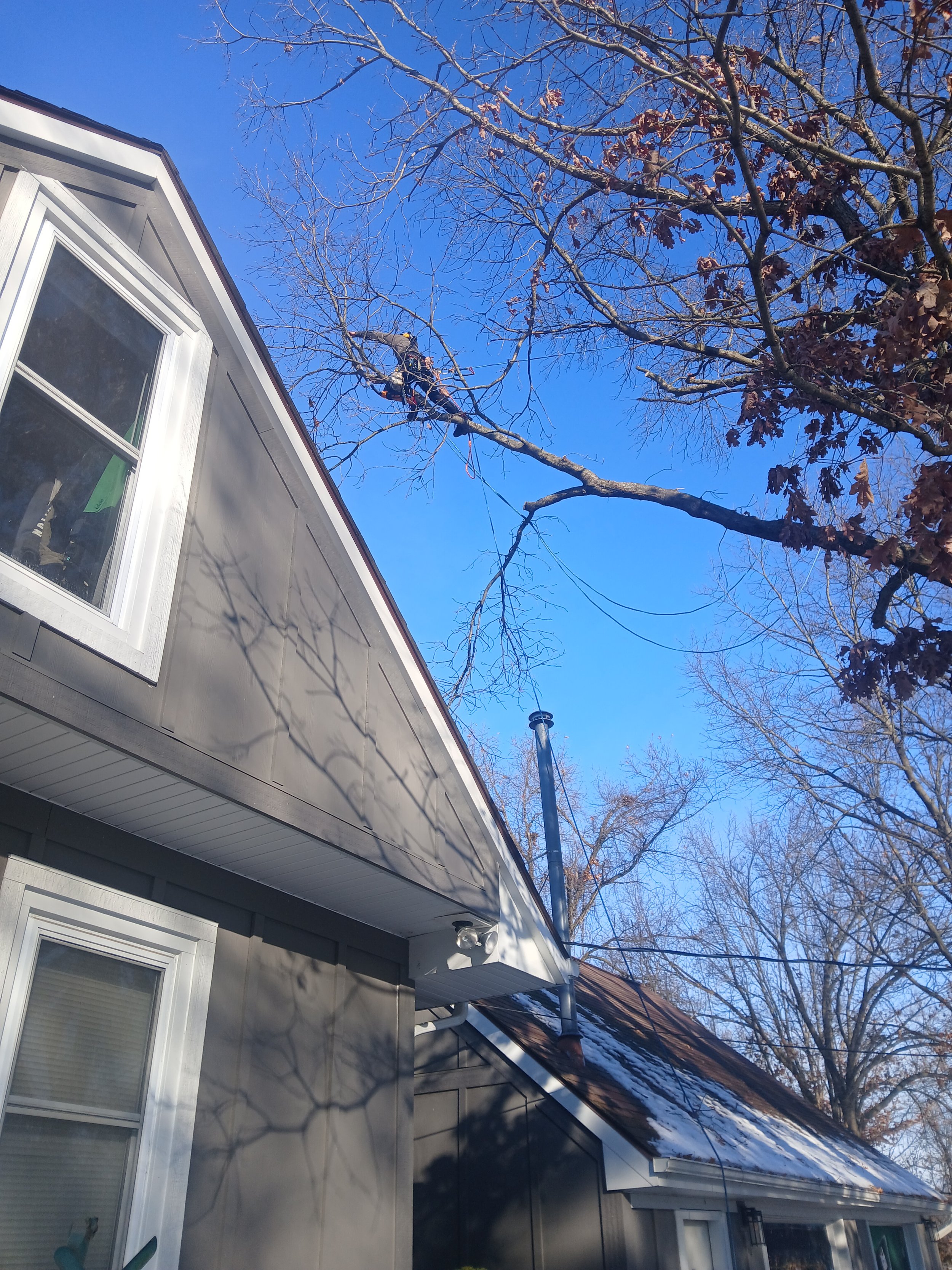 Tree Pruning