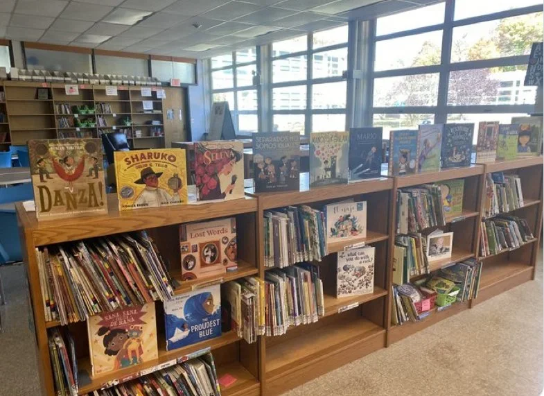 Books in the WorDL Library.webp