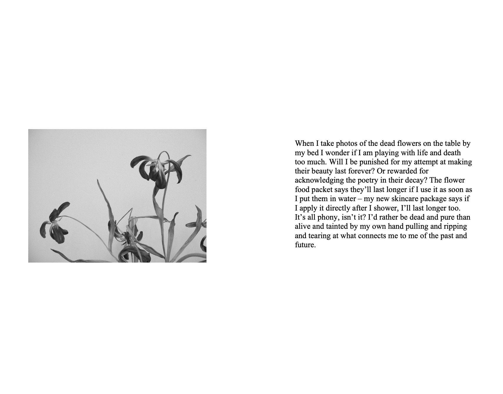 Screenshot 2026-05-31 at 1.37.38 PM.PNG