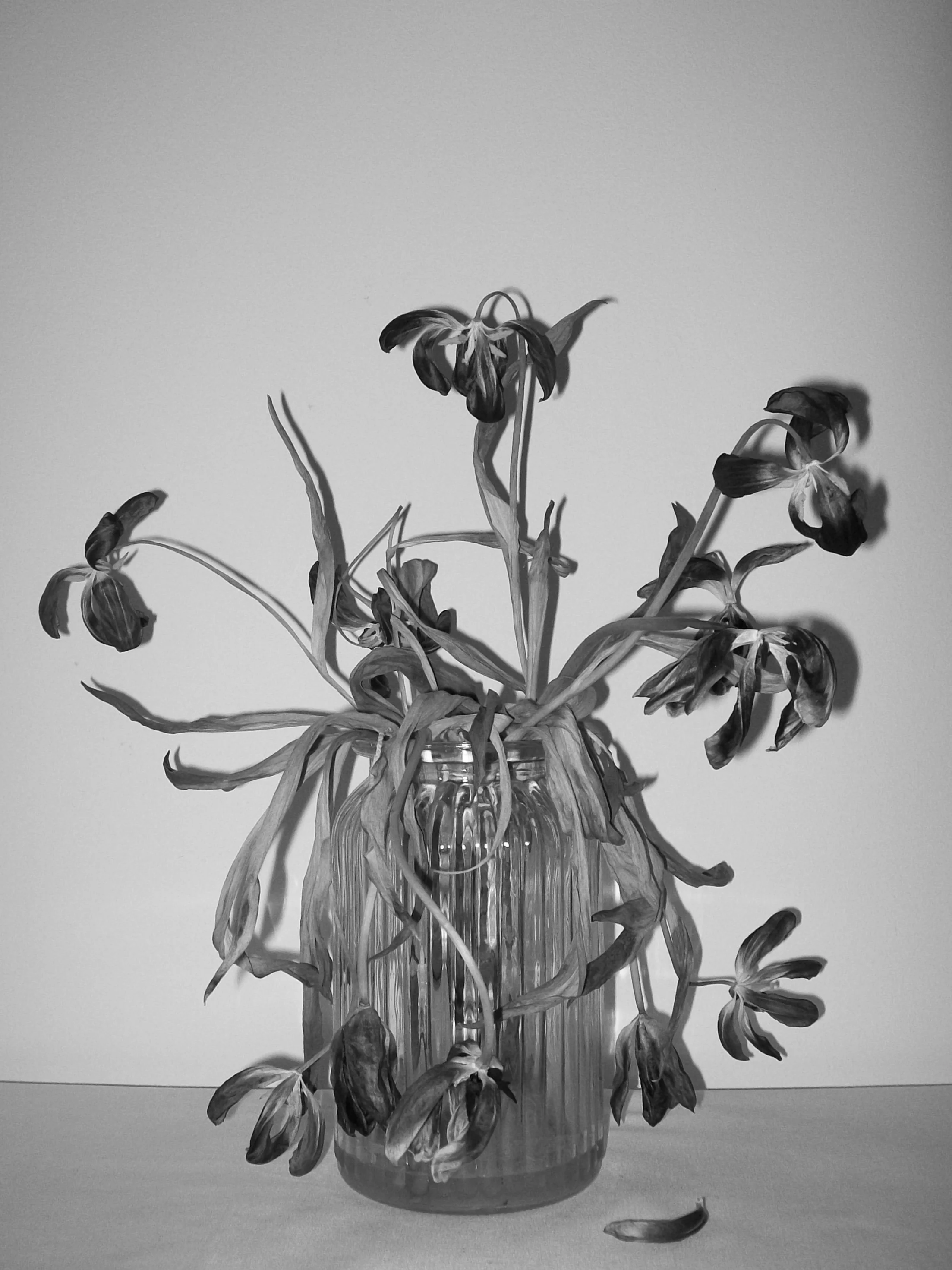 From "Dead and Pure" 