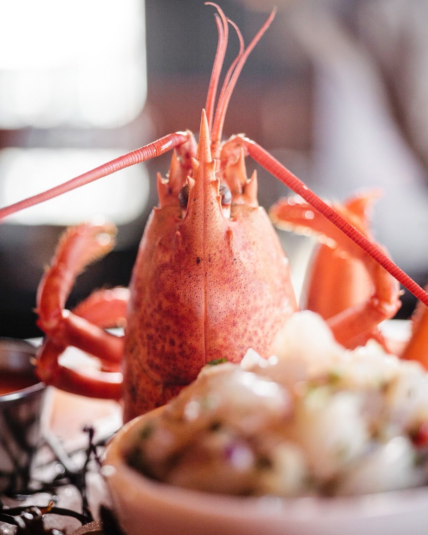 Indulge in a buttery lobster 🦞 feast here at The Pompano

✨ Kitchen opens at 5pm - place your reservation on @opentable 

#thepompano #lobster #lobsterdinner #ctbites #203local #connecticutrestaurants #sono #southnorwalk #norwalkct #dinnertime #newr