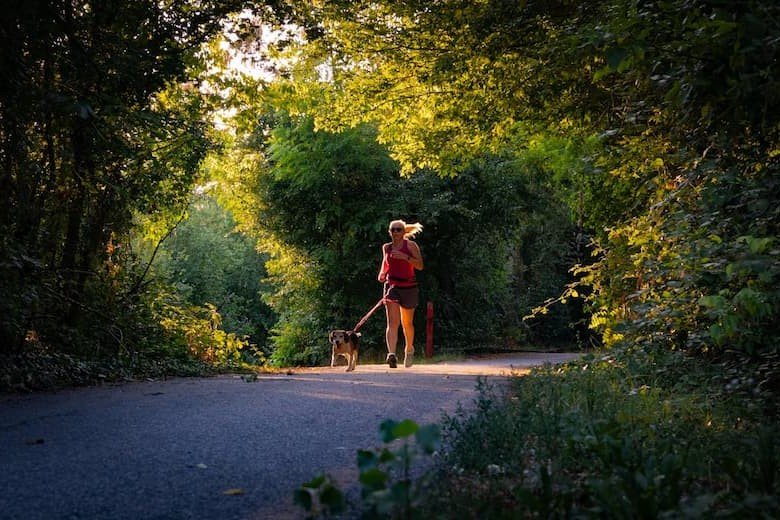 woman-walking-her-dog-down-a-road-in-the-woods