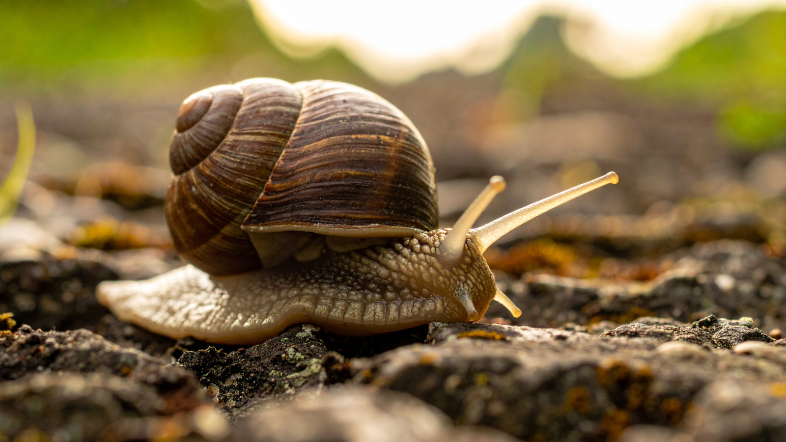 God Does Not Waste Slow Seasons