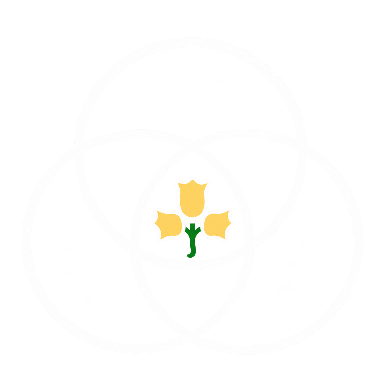 𝐍𝐎𝐁𝐀𝐃𝐒𝐎𝐔𝐍𝐃®