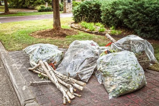 lawn care.jpg