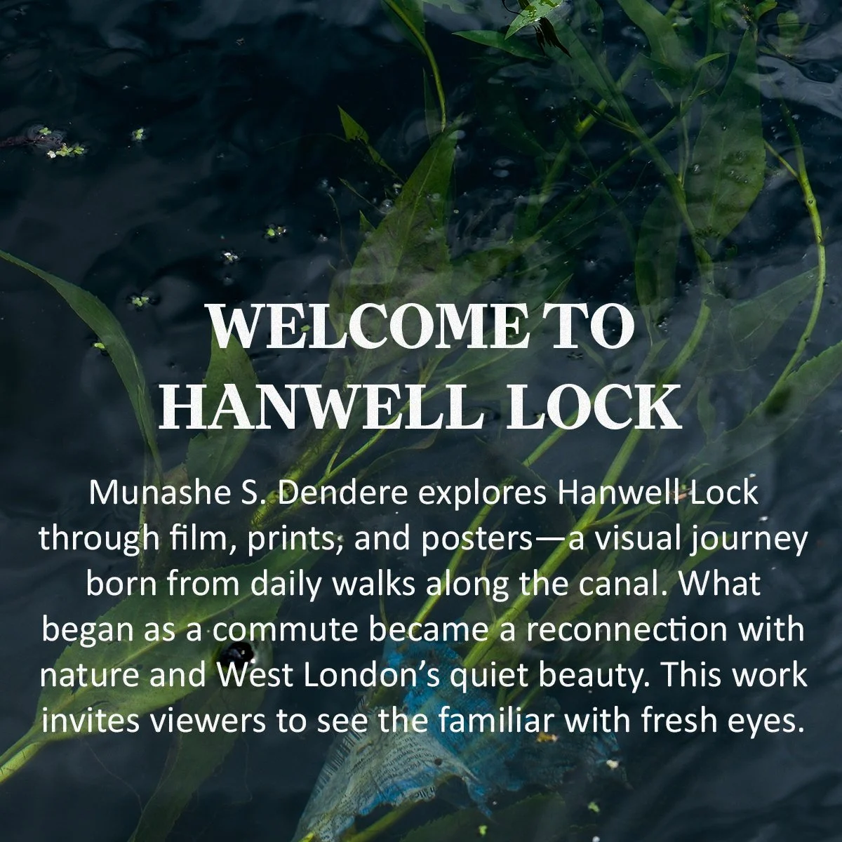 A canal scene with green aquatic plants and floating duckweed, featuring informational overlay text about Hanwell Lock and its exploration through film, prints, and posters.