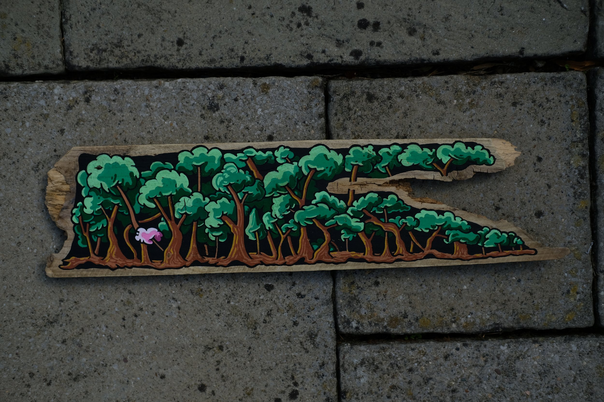 Cant See the Wood from the Trees. Posca on wood (2024)