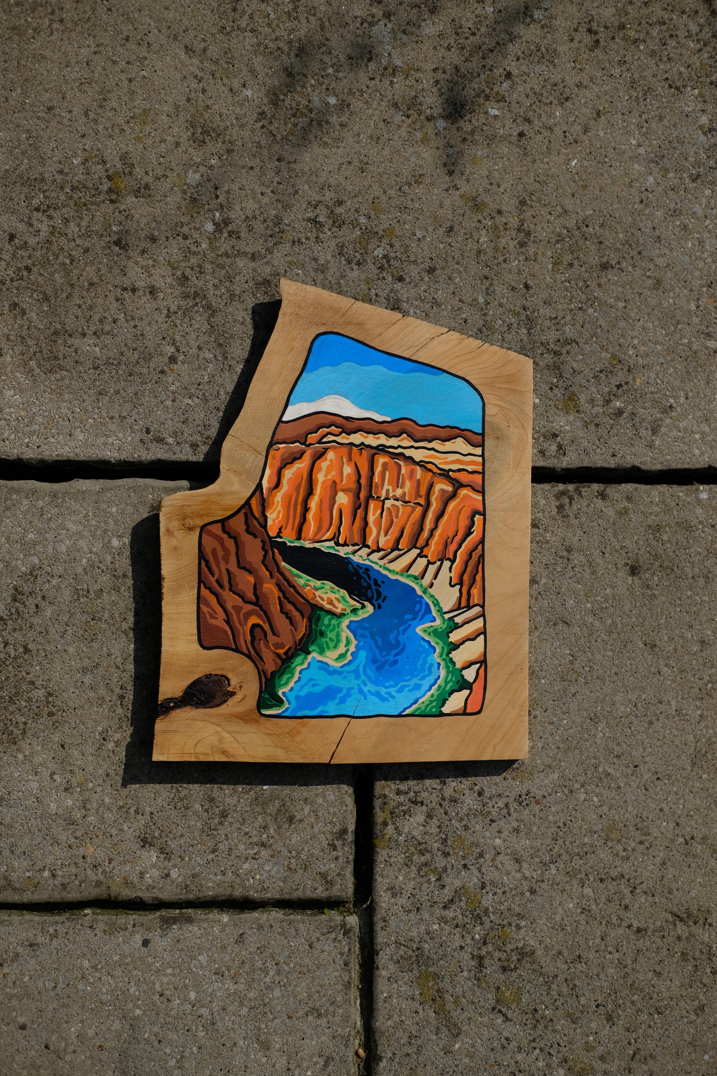 Horseshoe Bend. Posca on Cedar (2024)