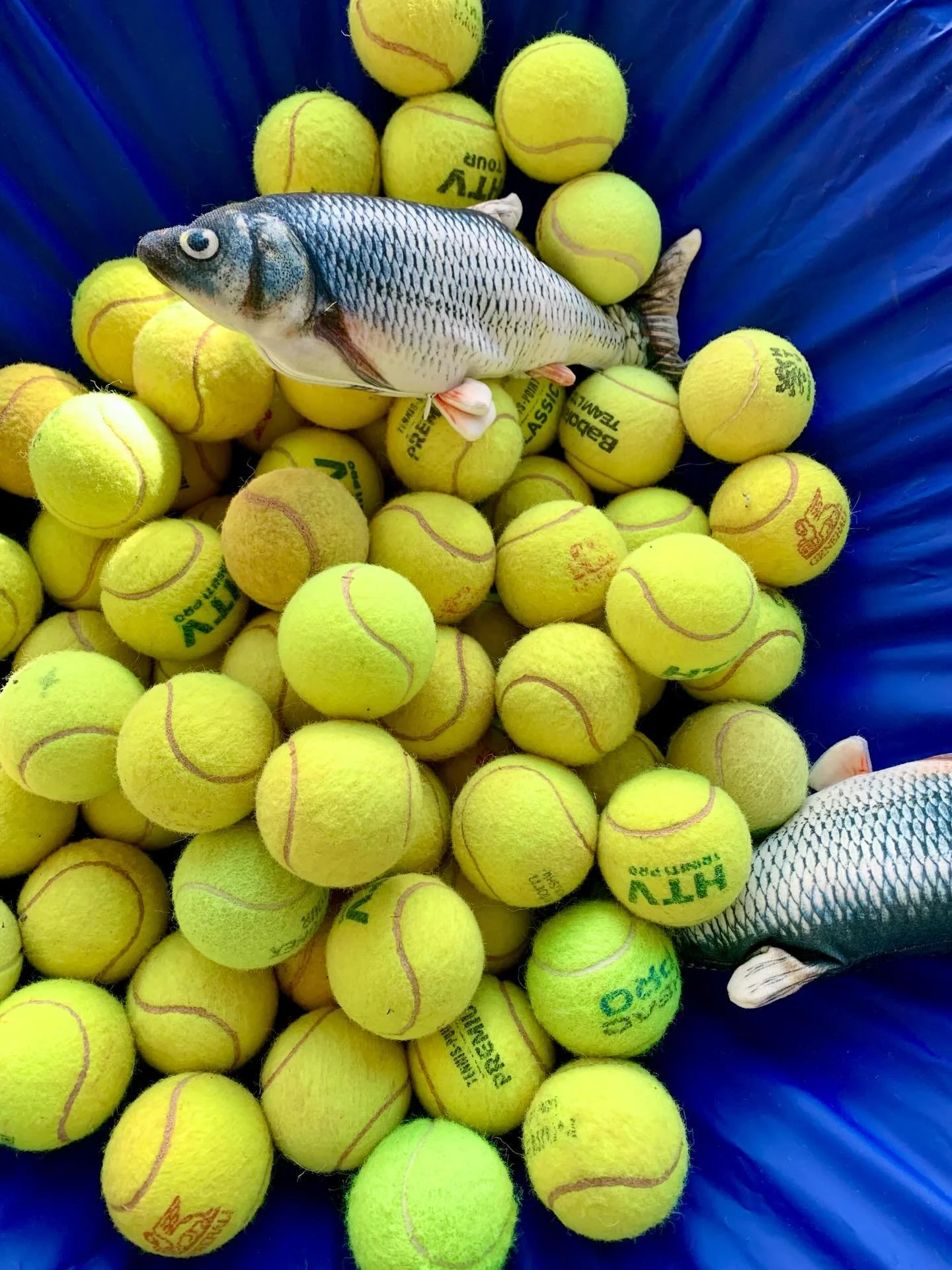 Liebe Gerda, 
das Wetter ist toll, der Pool erfrischend und auch an alten Tennisb&auml;llen mangelt es nicht. Der Kopf sprudelt und die Fische tun es ihm nach. 
Ich hoffe wir sehen uns bald im Sauerland!
Liebe Gr&uuml;&szlig;e, 
Liz

HANTIEREN MIT UN