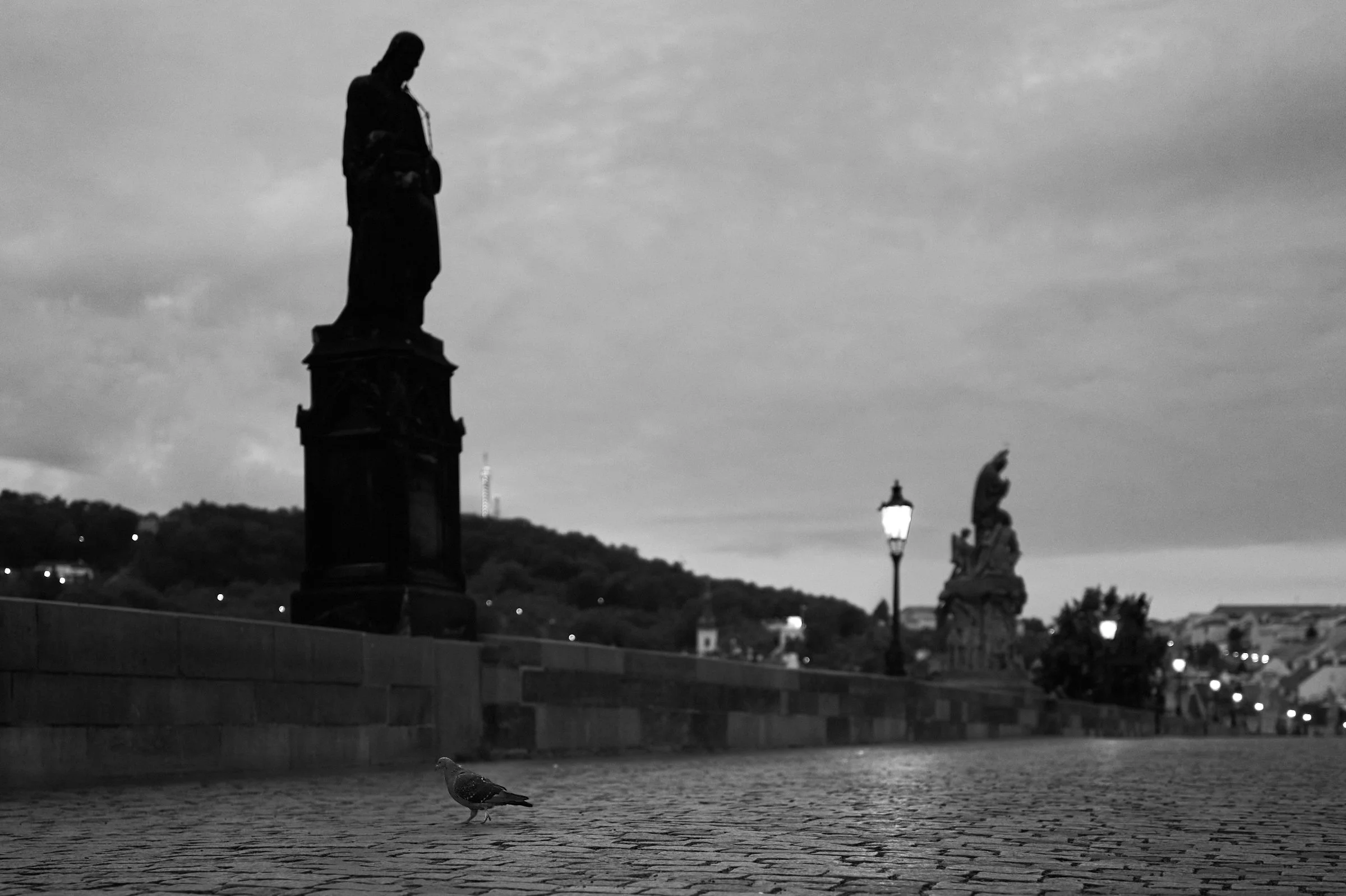 L1003305.jpg