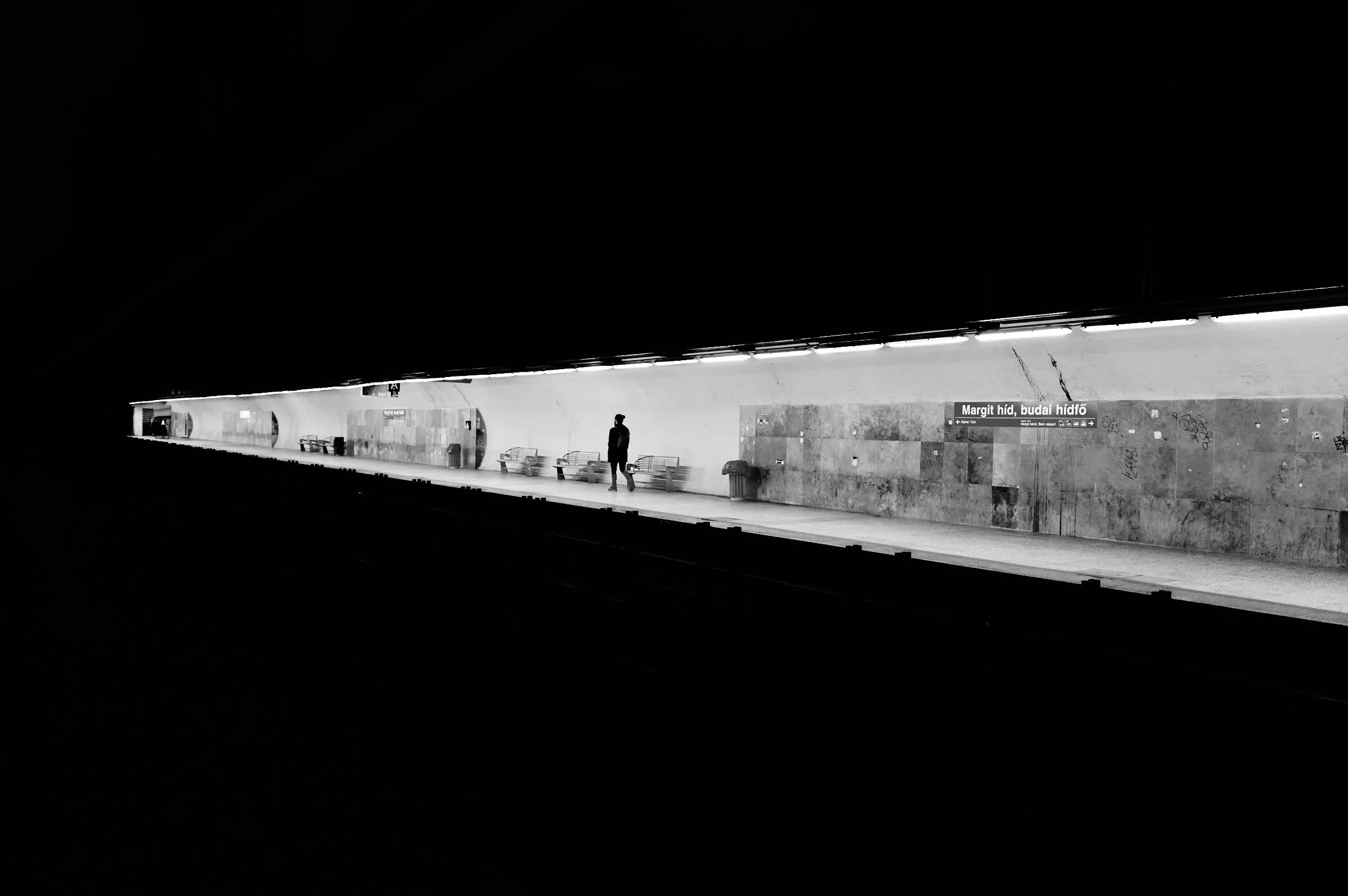 L1004735.jpg