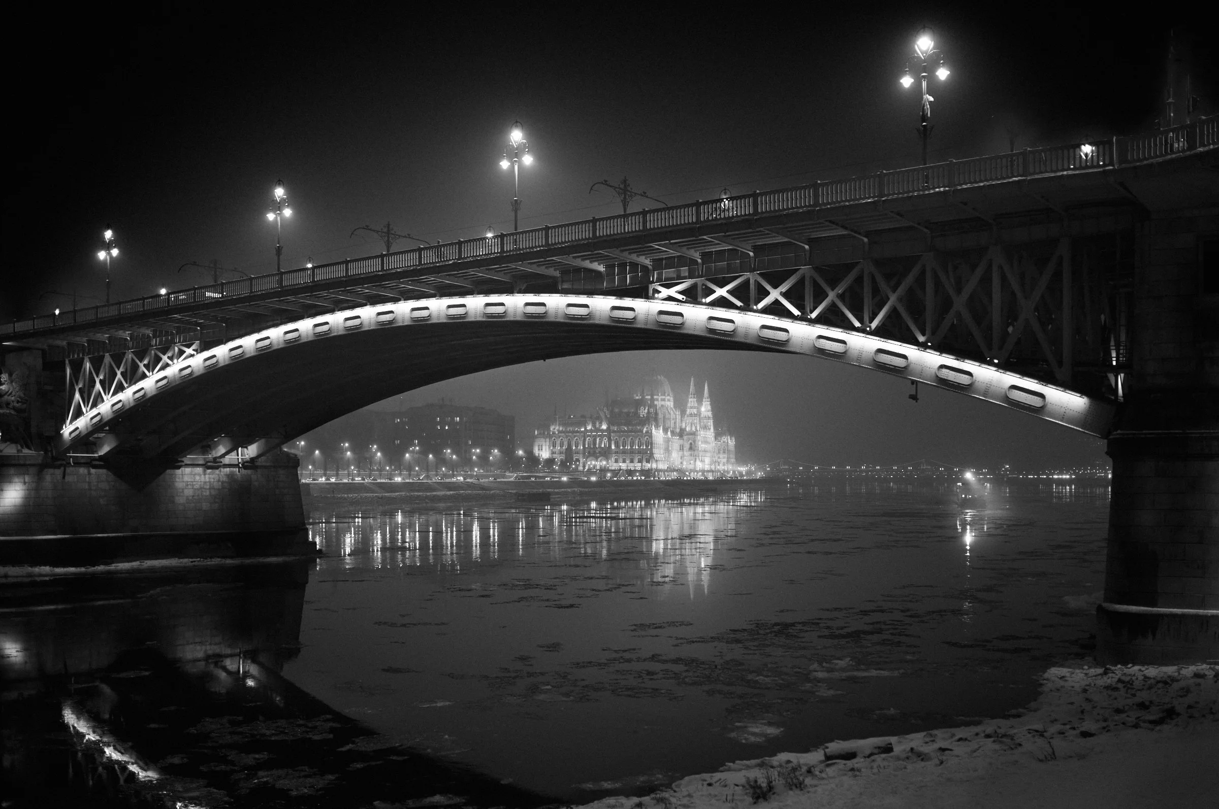 L1009574.jpg