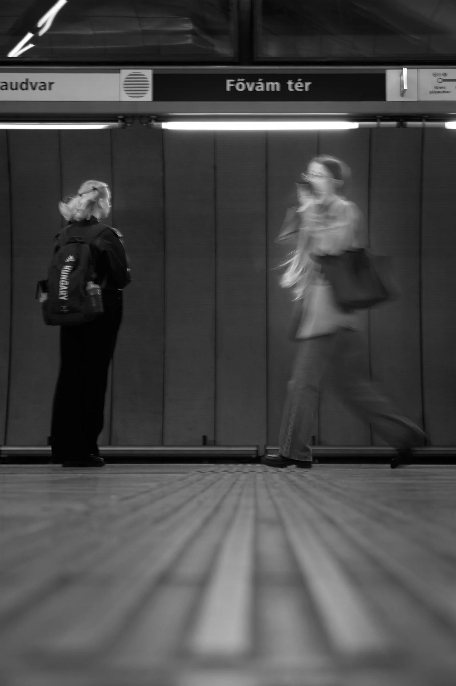 L1005343.jpg