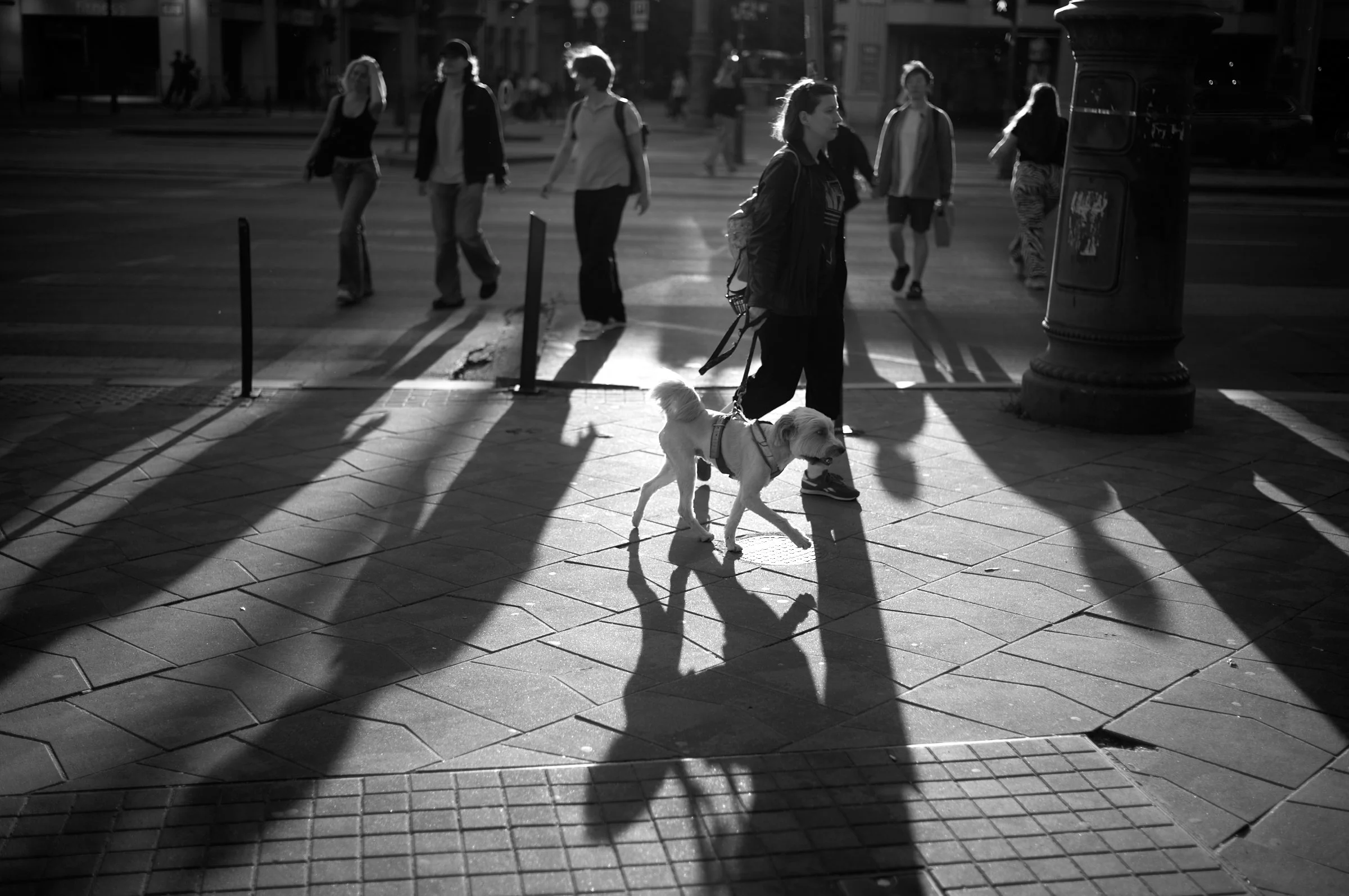 L1004651.jpg