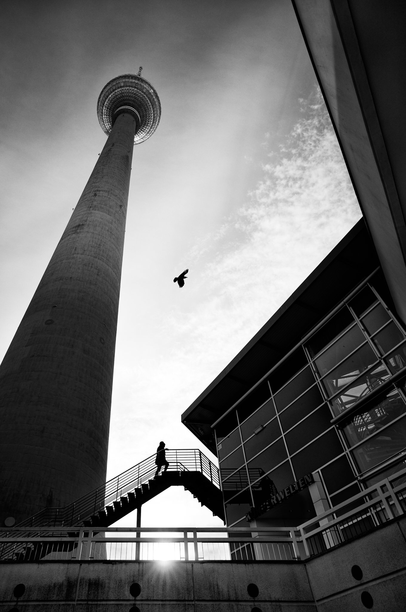 Black and white photograph of a tall tower with a circular observation deck, taken from below. There is a glass building with a staircase and railings in the foreground, and a person standing on the staircase. A bird is flying in the sky.