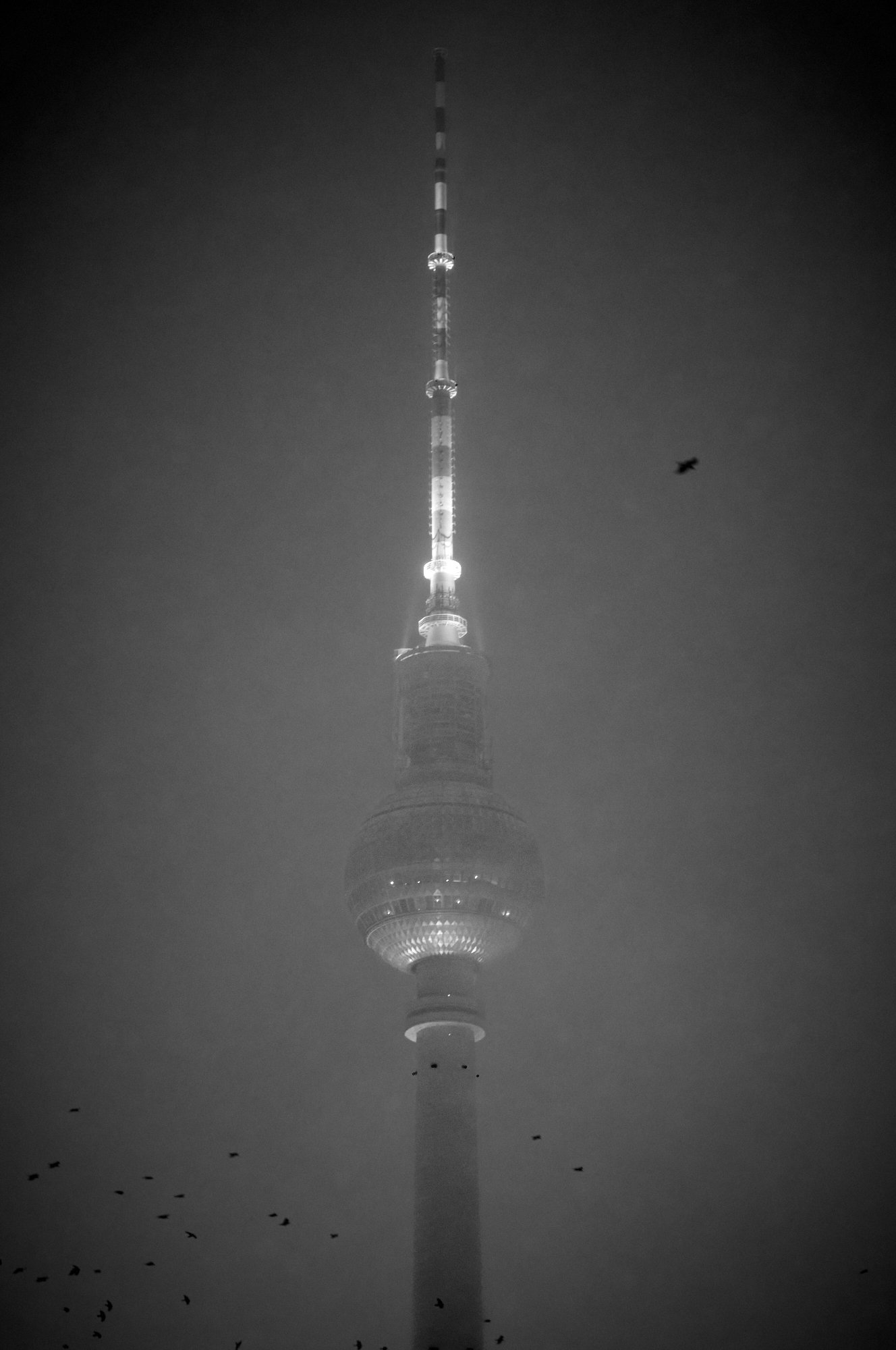 L1000570.jpg