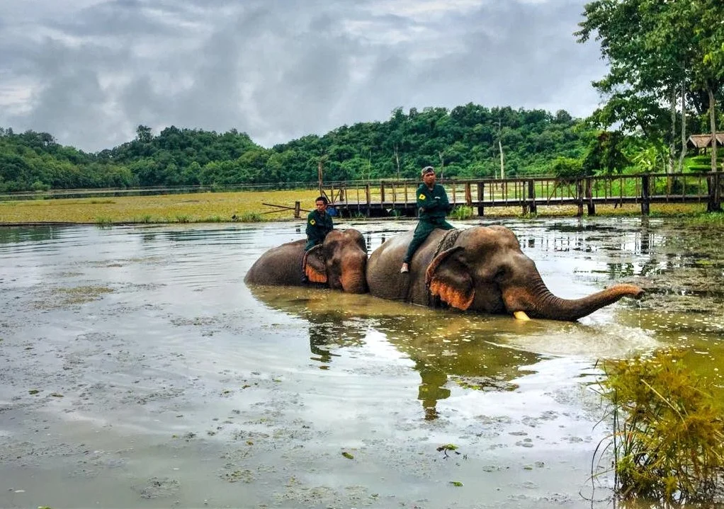 Die Befreiung der Elefanten Jounbahn &amp; Mae Seang