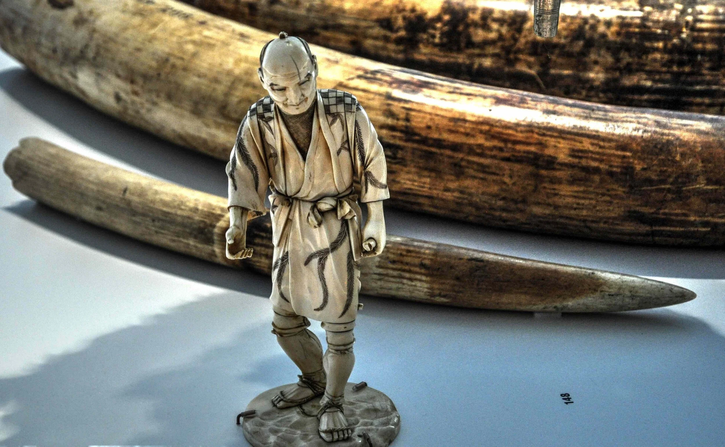 Vom Reisefieber zu Wissensdrang und Sammelwut