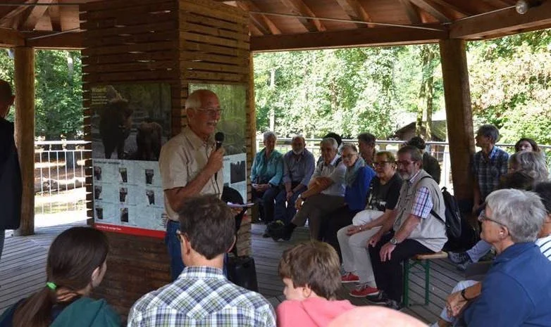 Wisente teilen Schicksal mit Rhinos