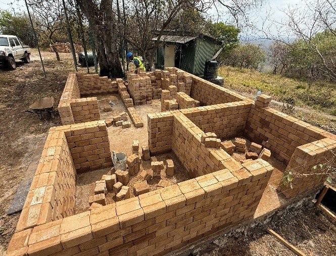 Cheetah during the structure construction 2025.jpg