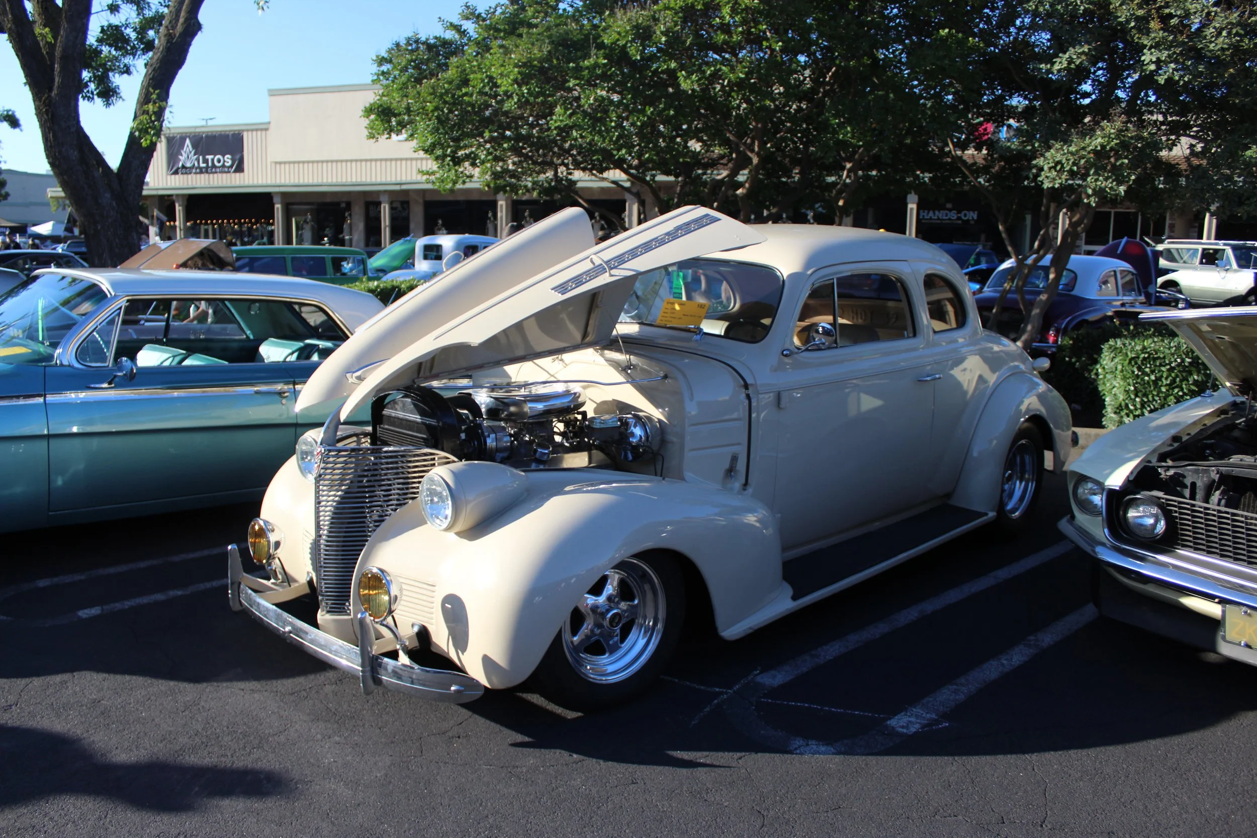 IMG_8892.JPG