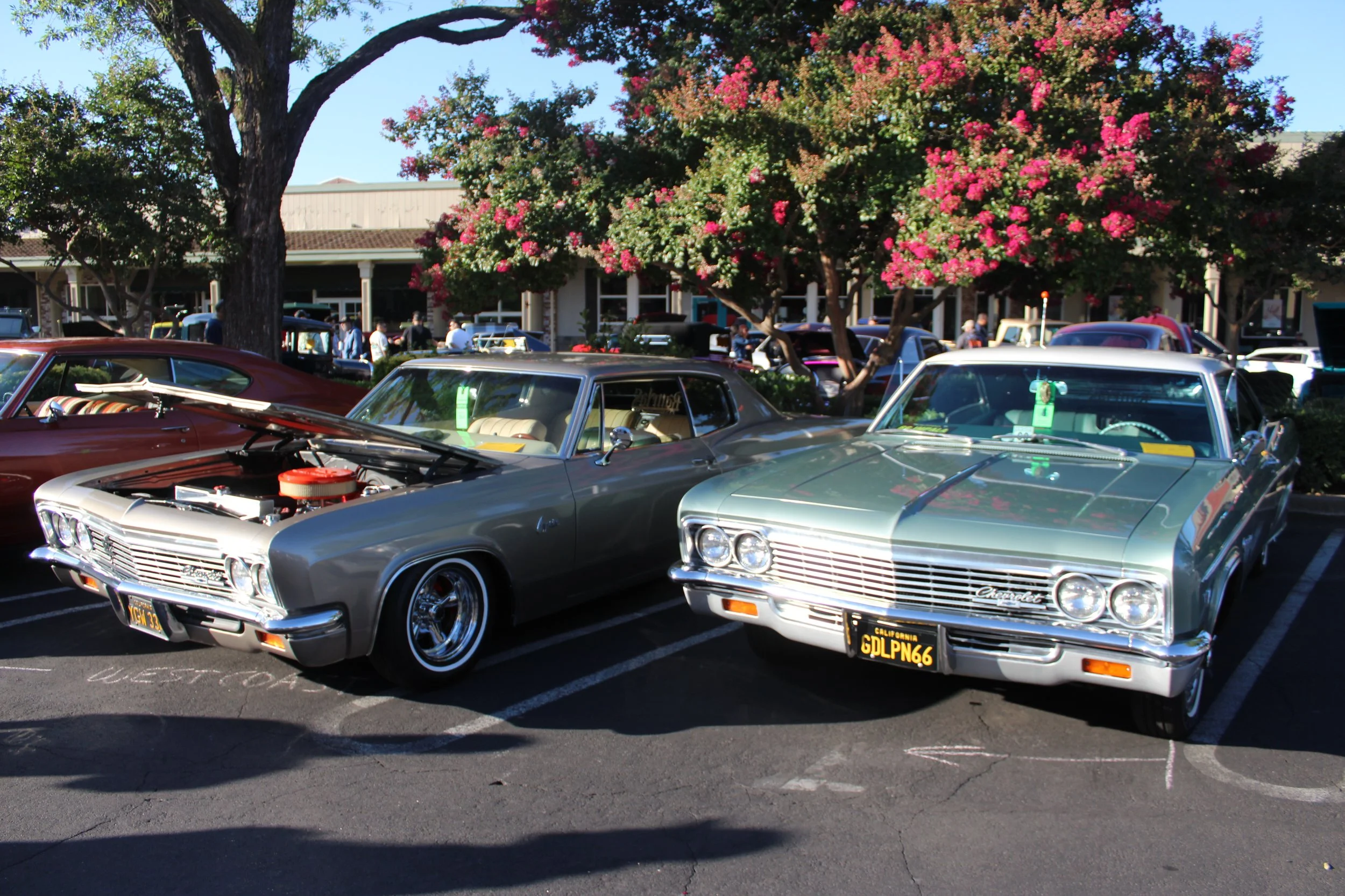 IMG_8882.JPG