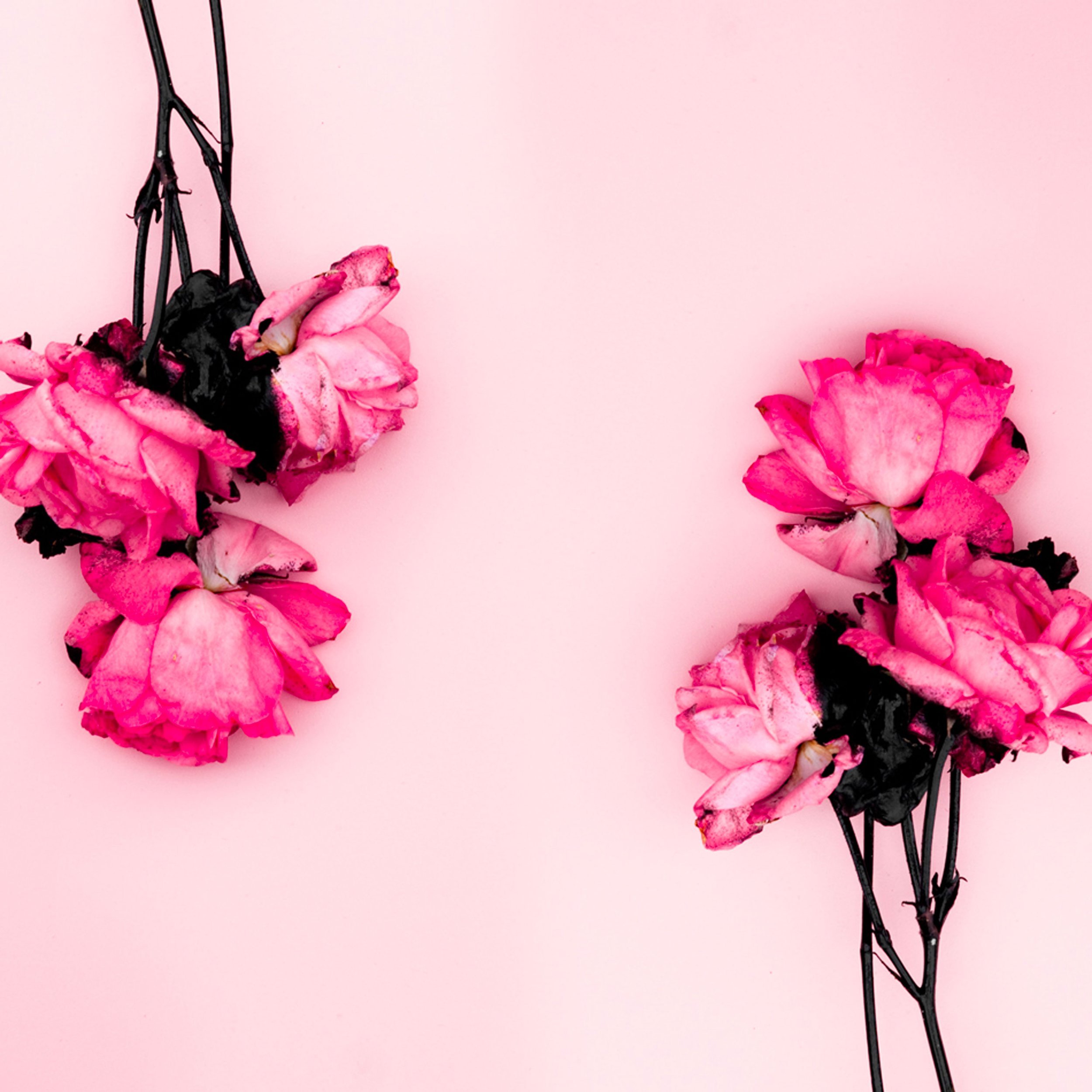 Floral_print.jpg