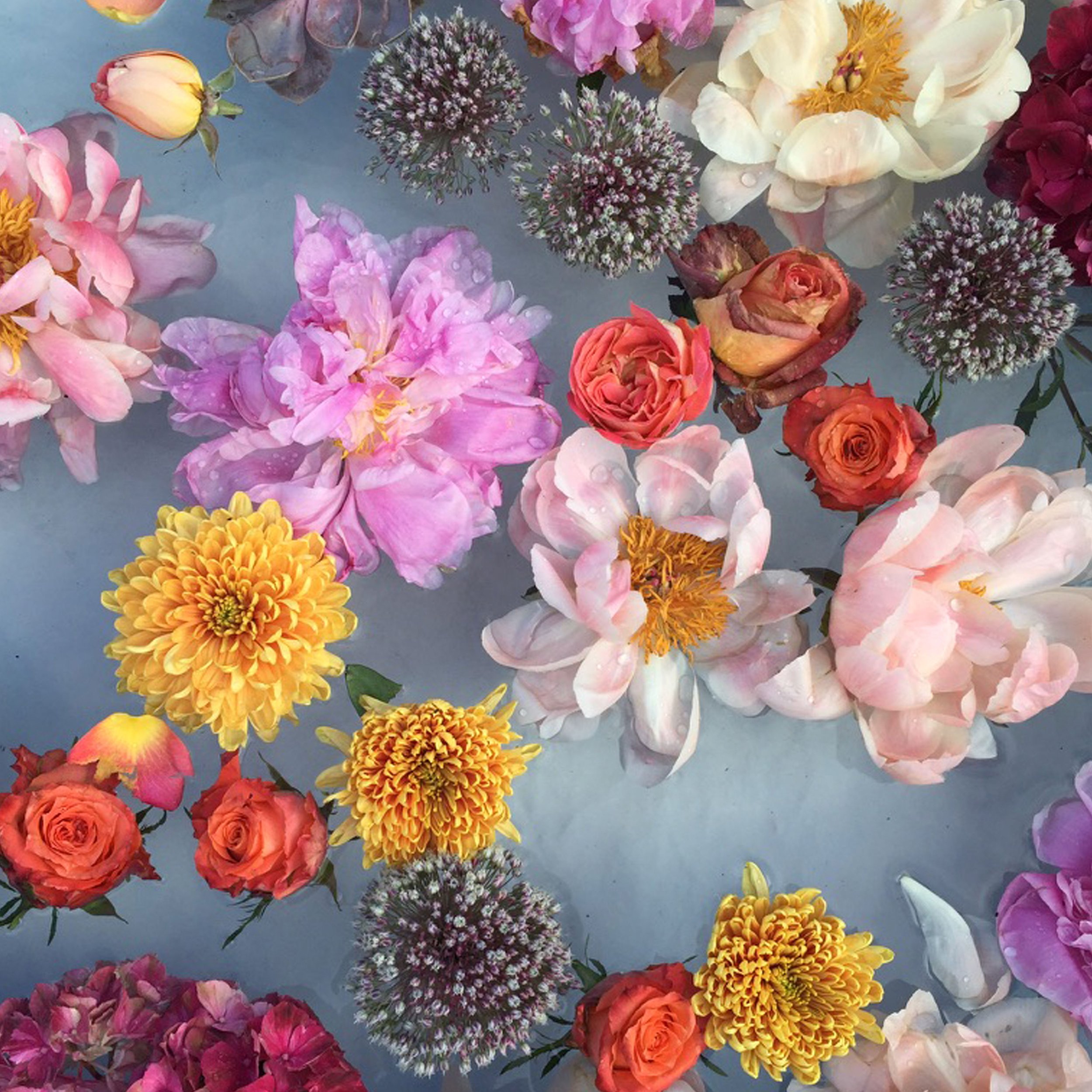 water_flowers.jpg