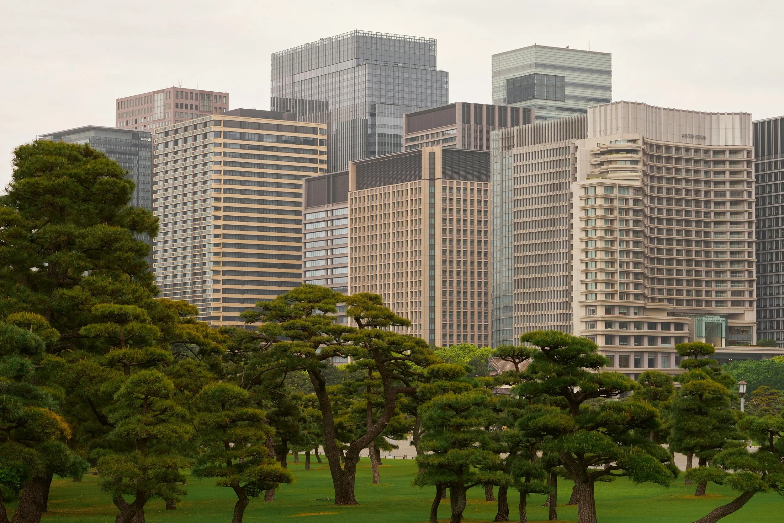 What does a financial advisor do?