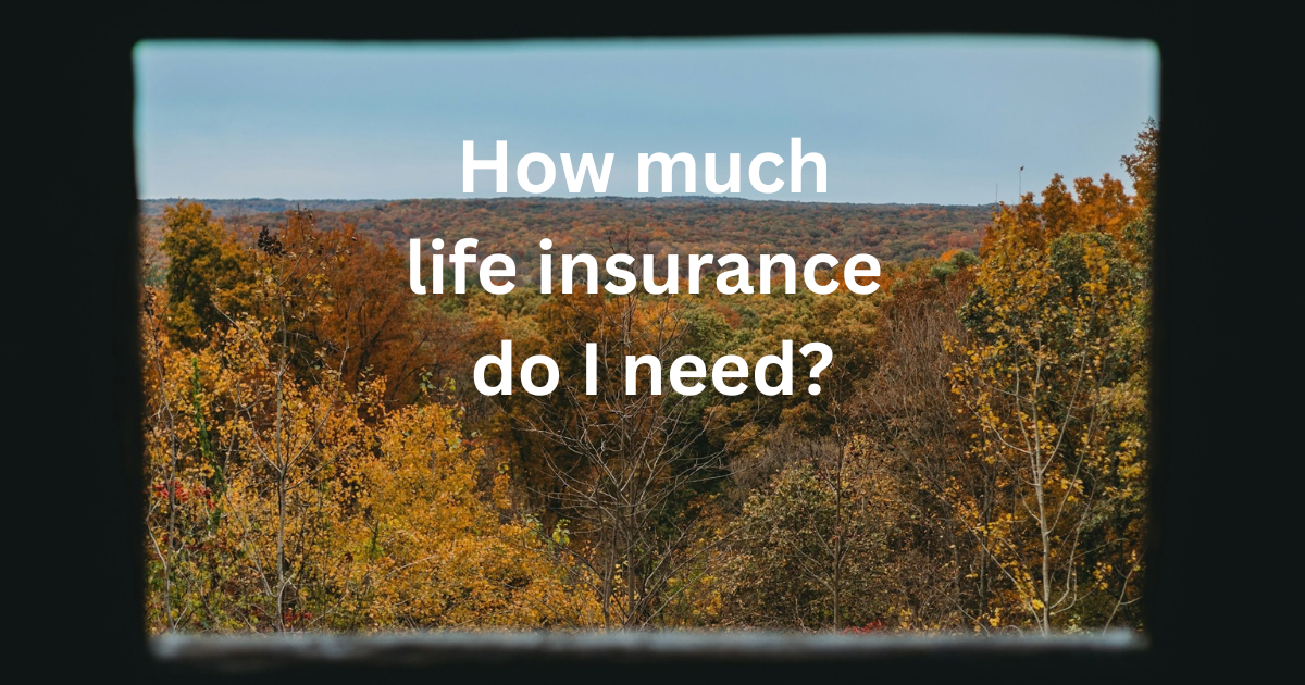 How much life insurance do I need?