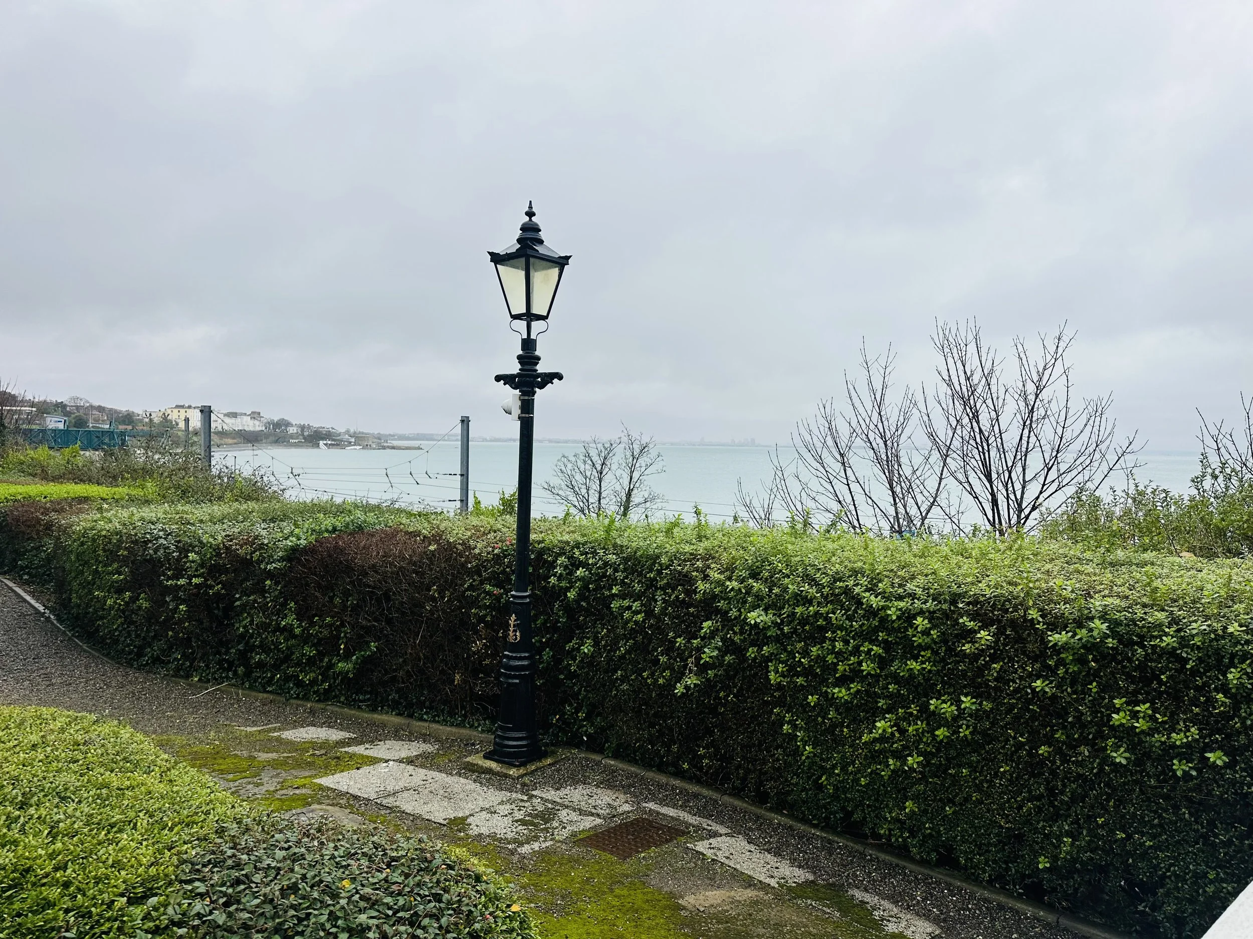 Photo 19-01-2026, 11 41 19.jpg