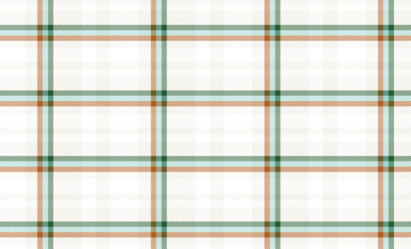 thesis plaid mockup.png