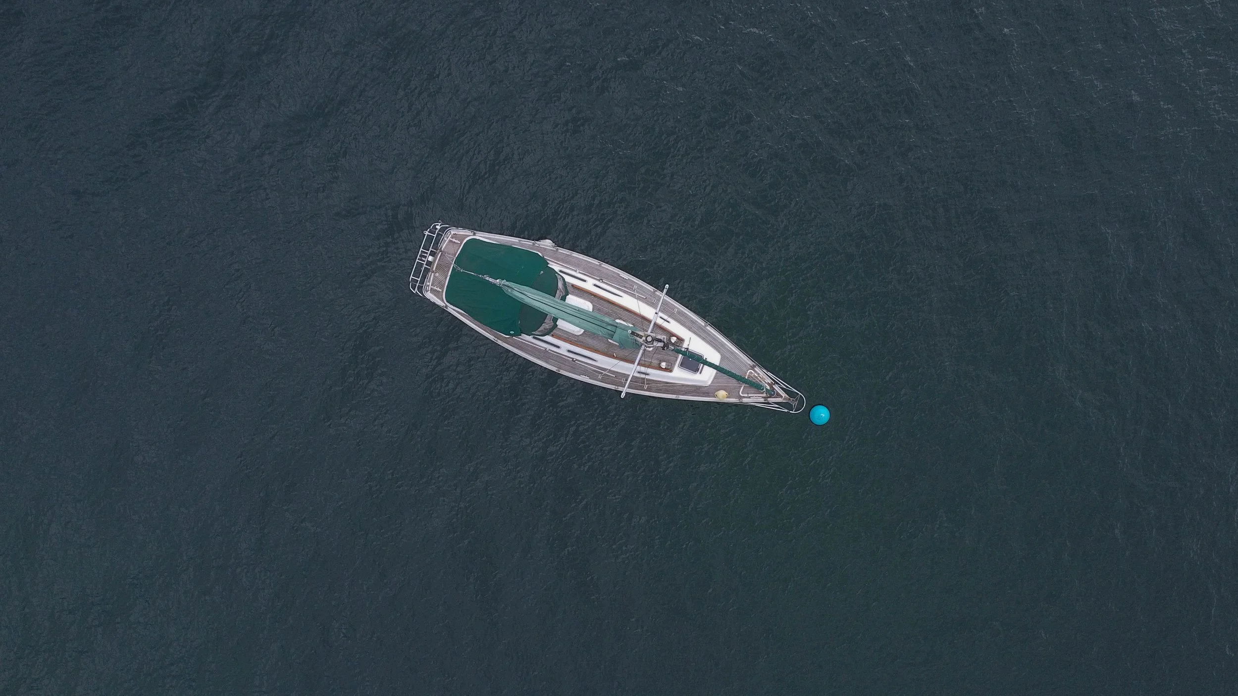 DJI_0031.jpg