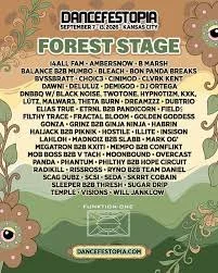 Dancefestopia Music Fesitval
