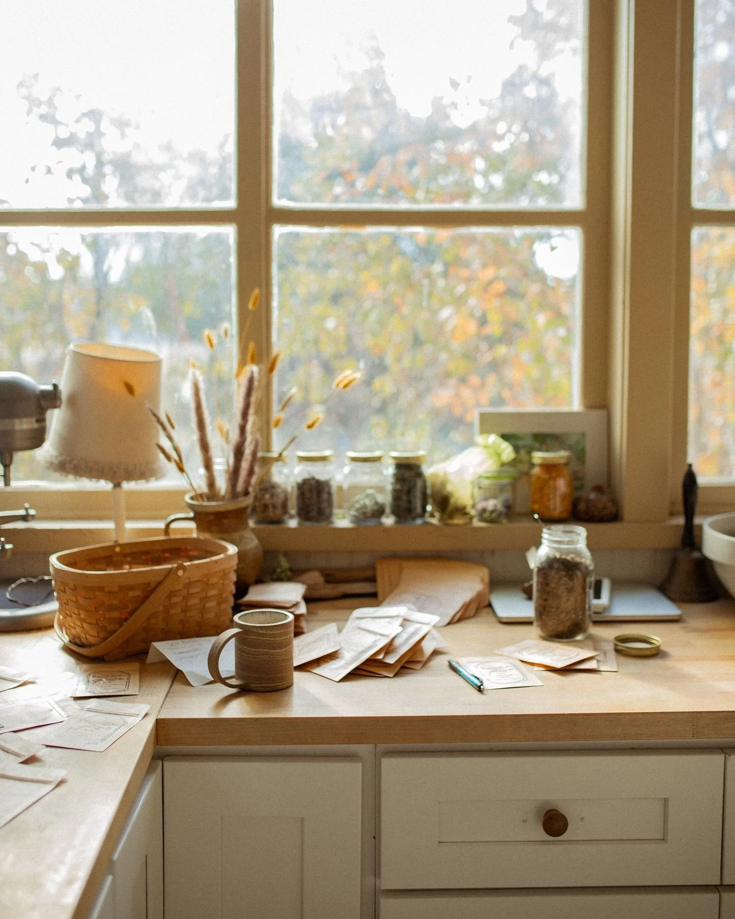 What my days look like right now. Lots of seeds, lots of messes, lots of projects. In between homeschooling and house cleaning and winterizing and all that comes with being a homemaker - the list seems to be endless these days. Praying against the ov