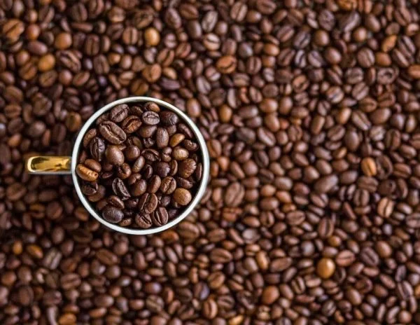 Paso Robles Councilmember Kris Beal Announces Office Hours&nbsp;(1.12.25)