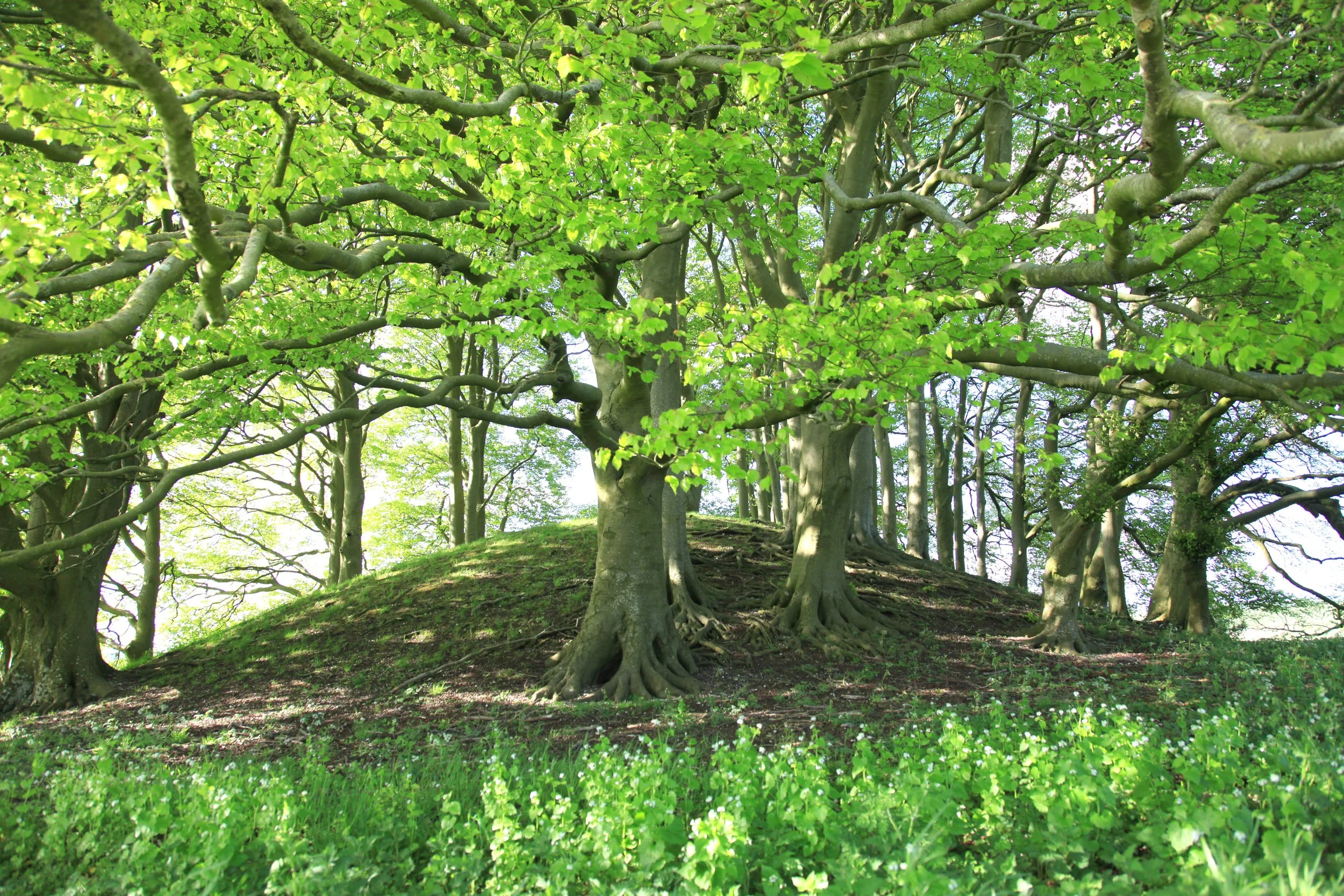 Sacred Avebury