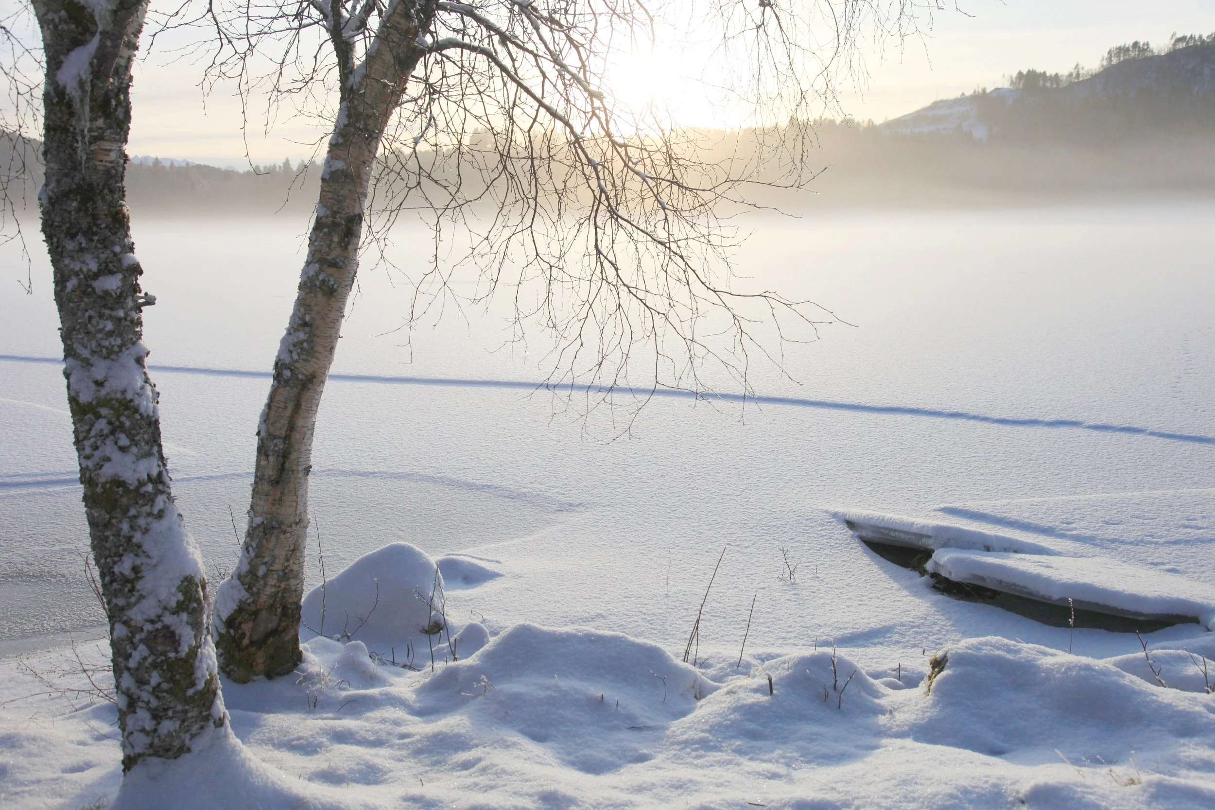 Nordic Frozen Lake II