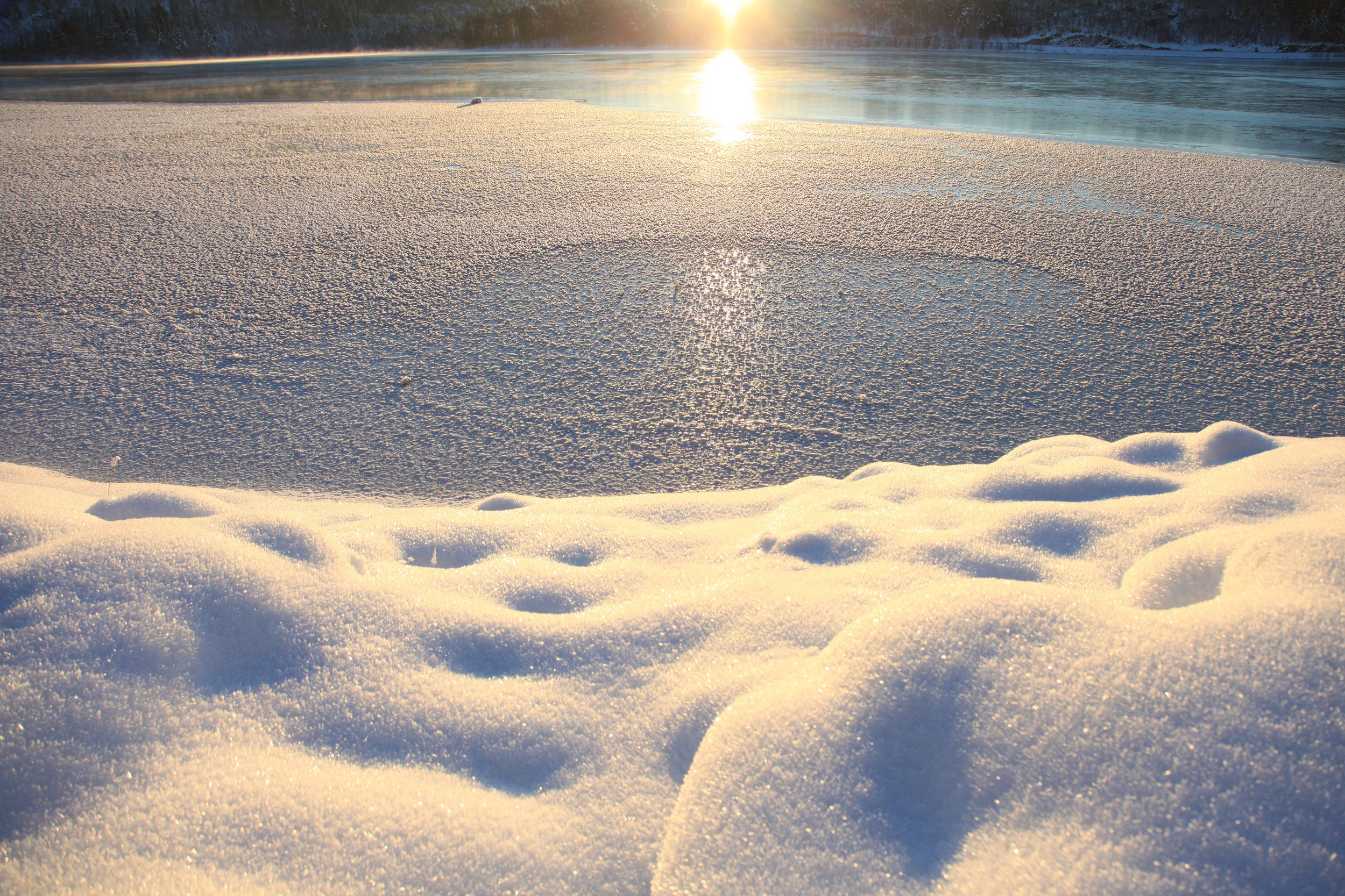 Nordic Frozen Lake I