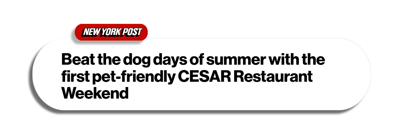 NewYorkPostCoverage.png