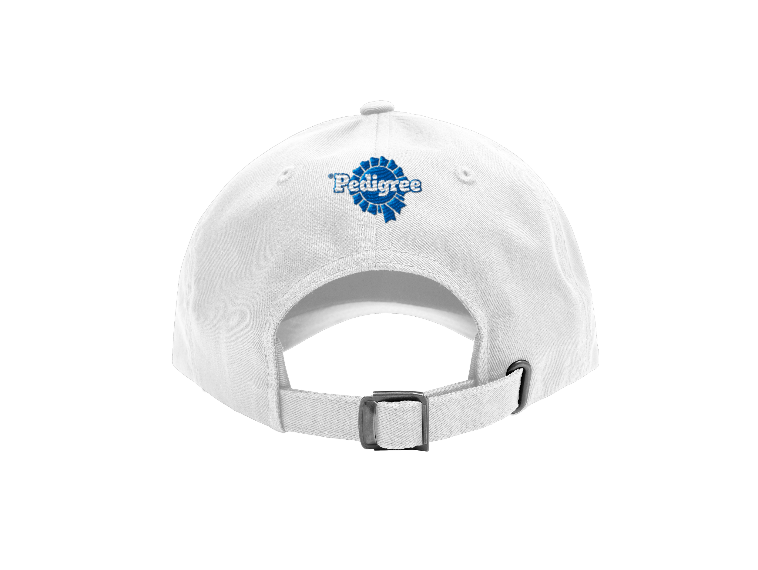 Drizzlers_BackofHat.png