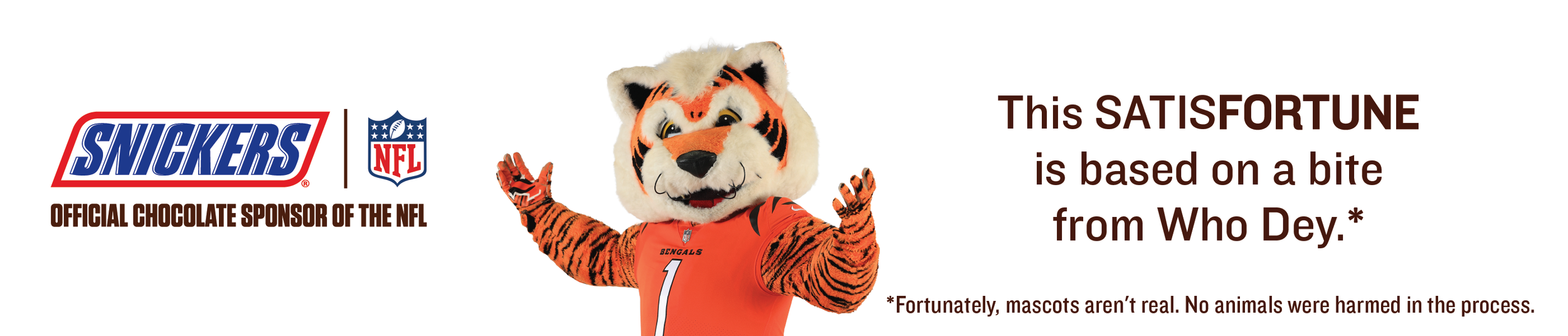 Cinncinati Bengals Back.png