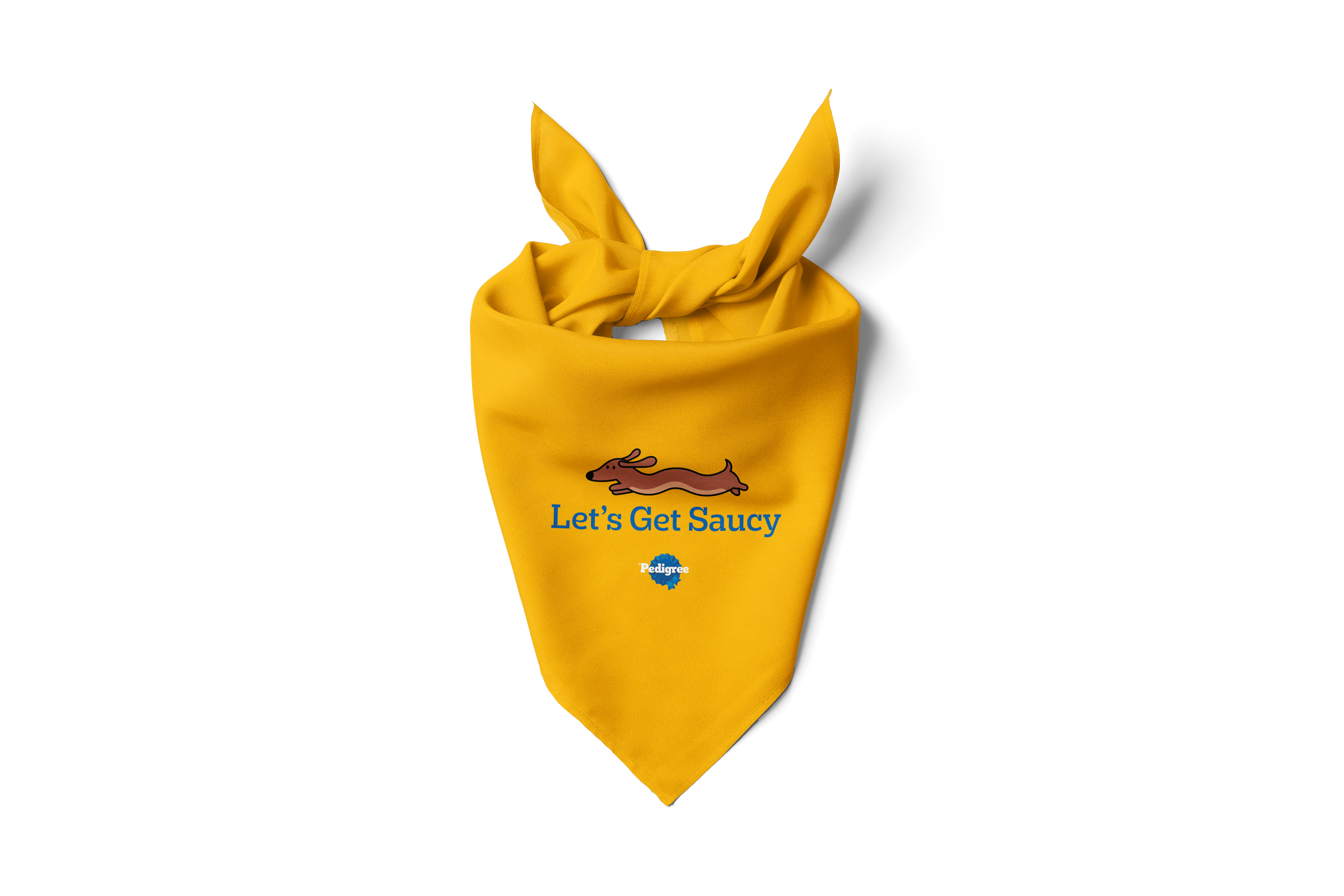 Drizzlers_Bandana-Cutout.png